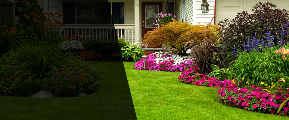 Las Cruces Landscapers