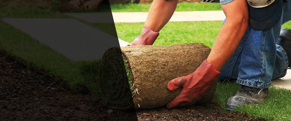 Las Cruces Landscapers